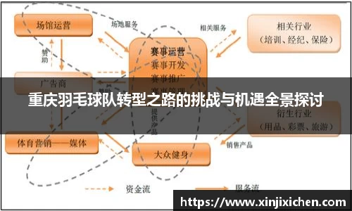重庆羽毛球队转型之路的挑战与机遇全景探讨